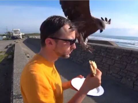 man eating sandwich bird snatch in fraction of second viral video Funny Video: ਸਮੁੰਦਰ ਕਿਨਾਰੇ ਬੈਠਾ ਸੈਂਡਵਿਚ ਖਾ ਰਿਹਾ ਸੀ ਆਦਮੀ, ਅਚਾਨਕ ਪੰਛੀ ਲੈ ਗਿਆ ਖਾਣਾ! ਵੀਡੀਓ ਹੋ ਰਿਹਾ ਹੈ ਵਾਇਰਲ
