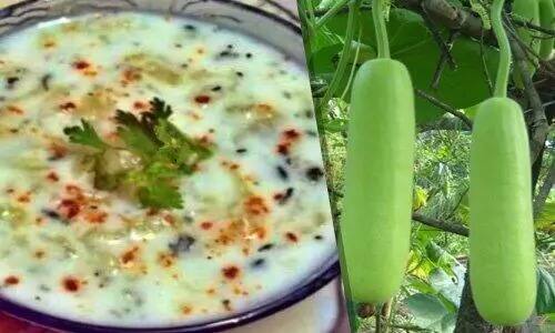 ਲੌਕੀ ਰਾਇਤਾ ਸਰੀਰ ਨੂੰ ਹਾਈਡਰੇਟ ਰੱਖਦਾ ਹੈ। ਇਸ ਦਾ ਸੇਵਨ ਕਰਨ ਨਾਲ ਤੁਹਾਨੂੰ ਲੰਬੇ ਸਮੇਂ ਤਕ ਭੁੱਖ ਨਹੀਂ ਲੱਗਦੀ।