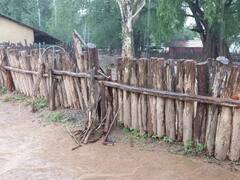 Bastar News: बस्तर के आदिवासी ऐसे बनाते हैं अपने घर की बाउंड्री वॉल, 100 साल से ज्यादा होती है टिकाऊ