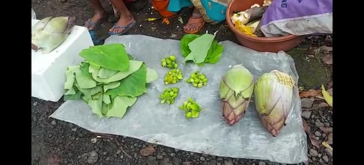 Ranmeva : रानमेवा, भाजीपाला, रानकंद आणि फळे विक्रीतून ग्रामीण भागातील आदिवासी महिलांनी स्वयंरोजगाराच्या संधी शोधत सक्षम बनण्याचा प्रयत्न सुरू केला.