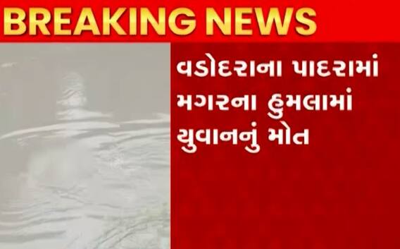 વડોદરાઃ પાદરામાં મગરના હુમલામાં યુવકે ગુમાવ્યો જીવ, બે કલાક સુધી મગર લાશને રજડાવતો રહ્યો