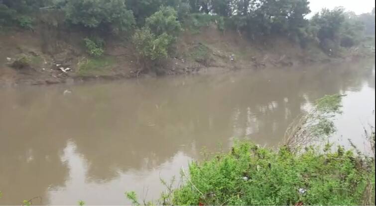 Youth dies due to crocodile attack in Dhadhar river of Padra Vadodara: ઢાઢર નદીમાં છેલ્લા બે કલાકથી લાશ લઈને રજળી રહ્યો છે મગર