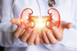 Improve Kidney Health : ਇਹ 3 ਦੇਸੀ ਫੂਡਸ ਮੌਨਸੂਨ 'ਚ ਕਰਦੇ ਨੇ ਜੁਇੰਡਸ ਤੋਂ ਬਚਾਅ, ਕਿਡਨੀ ਨੂੰ ਰੱਖਦੇ ਨੇ ਹੈਲਦੀ