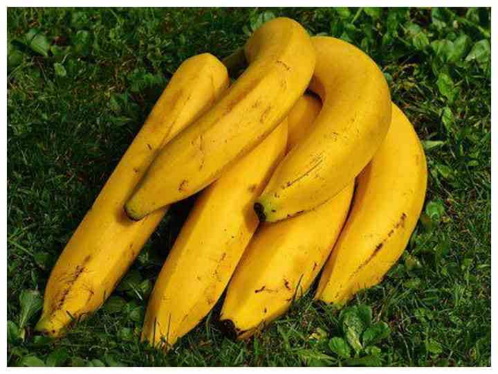 Banana with carbide causes harm to health  precautions while buying Health: कार्बाइड से पका केला सेहत को पहुंचाता है नुकसान, खरीदते समय बरतें ये सावधानी