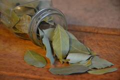 Bay Leaves: তেজপাতা তো ব্যবহার করছেন, উপকারিতাগুলো জানা আছে?