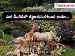 Plant Blindness: కళ్లు మూసుకుంటే మీకు జంతువులు గుర్తొస్తున్నాయా, మొక్కలు కనిపిస్తాయా ?