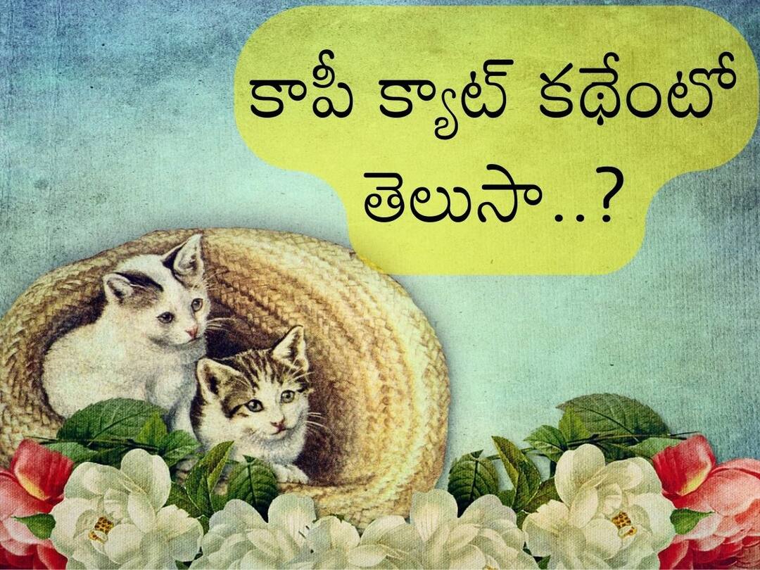 Why do we call Copy Cat? Why not Copy Dogs or Something Else, Know