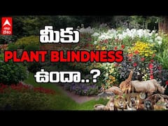 Plant Blindness : కళ్లు మూసుకుంటే మీకు జంతువులు గుర్తొస్తున్నాయా... మొక్కలా..? | ABP Desam
