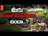 Plant Blindness : కళ్లు మూసుకుంటే మీకు జంతువులు గుర్తొస్తున్నాయా... మొక్కలా..? | ABP Desam