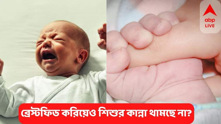 World Breastfeeding Week 2022 Some Most Common Problems Of Breastfeeding of Nursing Mothers Breastfeeding Awareness : মায়ের দুধ খেয়েও ভরছে না পেট? শিশু কাঁদছে ? কী করবেন