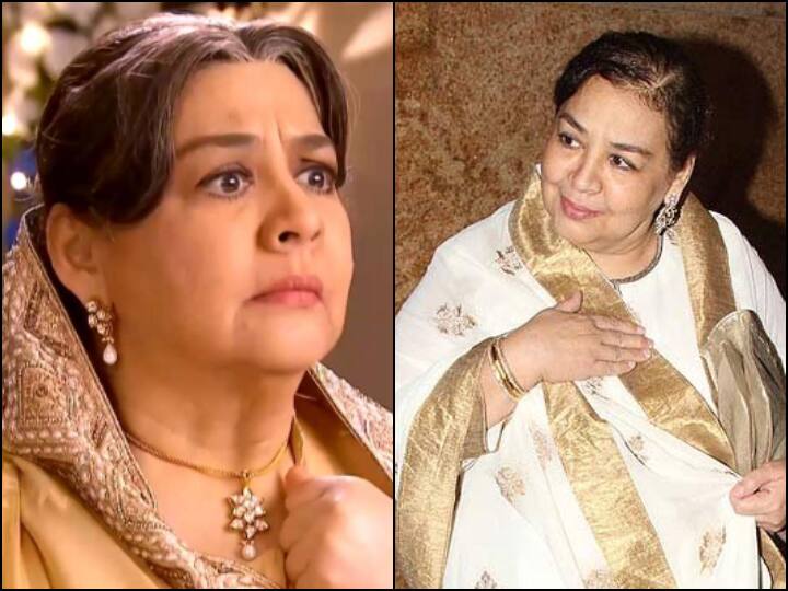 फेमस अभिनेत्री फरीदा जलाल (Farida Jalal) इस शो की जान थीं. उन्होंने Typical भारतीय नानी का किरदार निभाया. फ़रीदा जलाल एक नामचीन चेहरा हैं. फ़रीदा जलाल ने 'बालिका वधू', 'जीनी और जूजू', जैसे टीवी सीरीयल्स में भी काम किया है. हमने फ़रीदा को 'दिलवाले दुल्हनिया ले जायेंगे', 'क्या कहना','कभी ख़ुशी कभी ग़म' जैसी फ़िल्मों में देखा गया है.