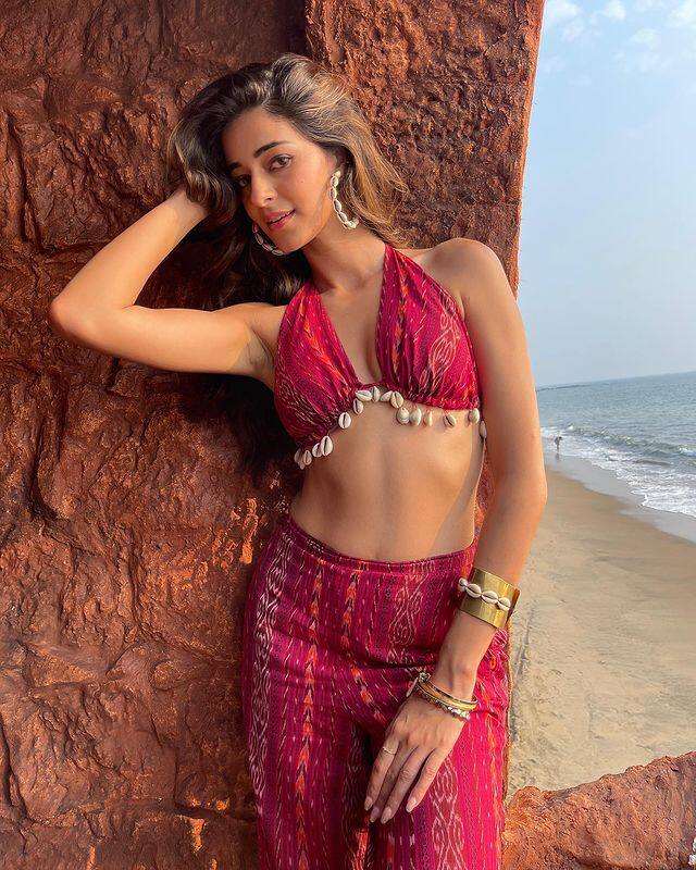 పాన్ ఇండియా లెవెల్ లో విడుదల కానున్న ఈ సినిమాను దానికి తగ్గట్లే ప్రమోట్ చేస్తున్నారు. (Photo Courtesy: Ananya Panday Instagram)