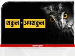 Shakun Apshakun: काली बिल्ली का रास्ता काटना क्यों माना जाता है अपशकुन?