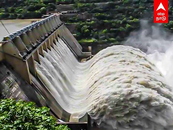 Mullai Periyar Dam : ‘உடைந்த முல்லைப் பெரியாறு அணை’...! - கேரள இளைஞர்கள் வெளியிட்ட சர்ச்சை பாடல்