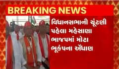 વિધાનસભાની ચુંટણી પહેલા મહેસાણા ભાજપમાં મોટા ભૂકંપના એંધાણ, તિરંગા યાત્રાના બહાને જિલ્લાના નેતાઓ વચ્ચે રાજકીય જગં