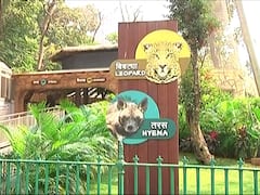 मुंबई महापालिकेने राणी बागेच्या निविदा वाढीच्या चौकशीसाठी एसीबीने मागितलेली परवानगी नाकारली