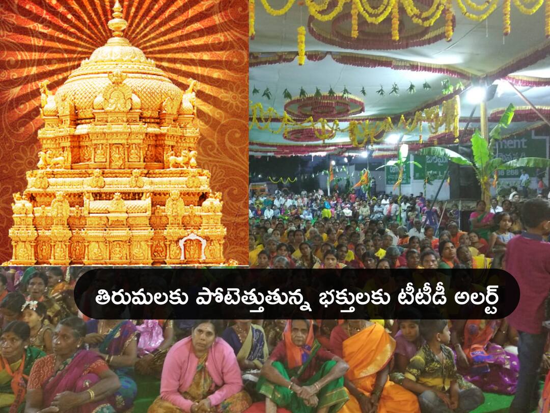 TTD Pavithrotsavam in Tirumala 2022: Pavithrotsavam begins today in Tirumala DNN TTD: తిరుమలలో మూడు రోజులపాటు ఆర్జిత సేవలు రద్దు, కీలక ప్రకటన చేసిన టీటీడీ