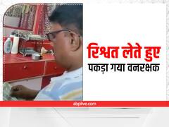 Sultanpur News: सुल्तानपुर में रिश्वत लेते हुए पकड़ा गया वनरक्षक, वीडियो वायरल, डीएम ने जांच के दिए आदेश