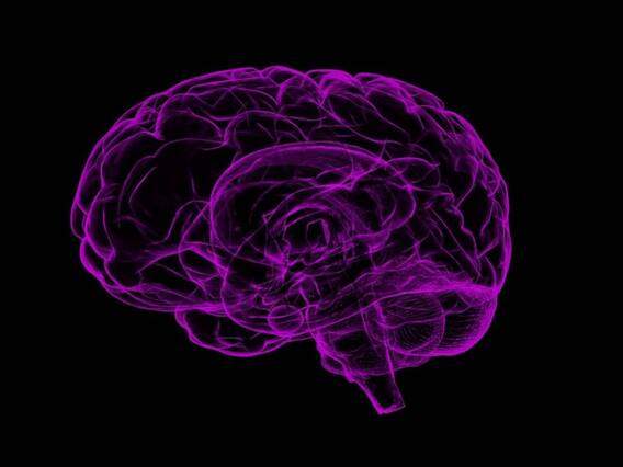 Brain Aneurysm: భారతదేశంలో పెరిగిపోతున్న బ్రెయిన్ అనూరిజం మరణాలు, ఈ లక్షణాలు కనిపిస్తే నిర్లక్ష్యం వద్దు Brain Aneurysm: భారతదేశంలో పెరిగిపోతున్న బ్రెయిన్ అనూరిజం మరణాలు, ఈ లక్షణాలు కనిపిస్తే నిర్లక్ష్యం వద్దు
