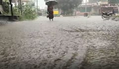 Gujarat Monsoon: રાજયમાં આગામી 24 કલાક ભારે વરસાદની આગાહી, આ વિસ્તારોને ધમરોળશે મેઘરાજા