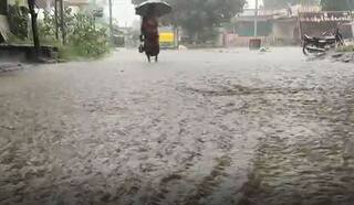 Vidarbha Rains : आज व उद्या जिल्ह्यात 'ऑरेंज अलर्ट', अतिमुसळधार पावसाची शक्यता