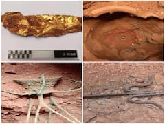 Adichanallur Excavation: ஆதிச்சநல்லூர் அகழாய்வில் கிடைத்த தங்கம்; உற்சாகத்தில் ஆய்வாளர்கள்..!