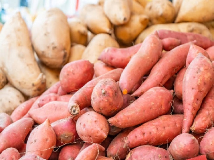 Sweet Potato Farming: कई गुना बढ जायेगा शकरकंद का ज़ायका, खेती करते समय इन बातों का रखें खास ख्याल