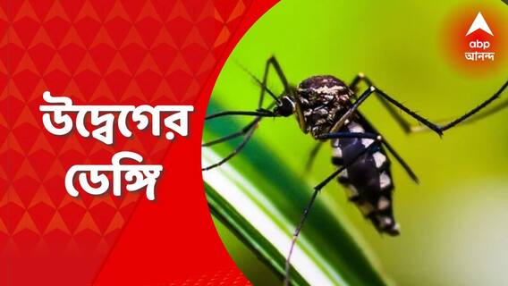Dengue : এ পর্যন্ত রাজ্যে ডেঙ্গি আক্রান্ত হয়েছে ৩ হাজার ১০৪ জন : Bangla News