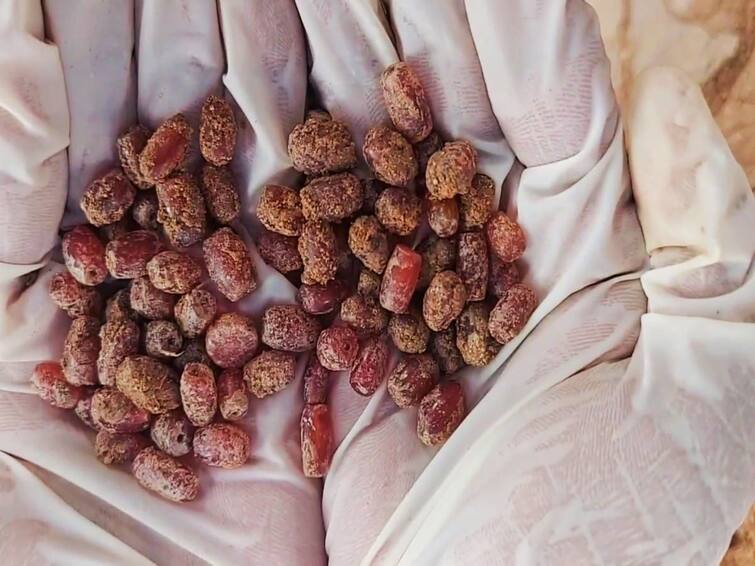 The surprise found in a pile of coral found in the excavation in Kontakhai Keezhadi Excavation: கீழடி அகழாய்வில் குவியலாக கிடைத்த புதிய ஆச்சரியமான விஷயங்கள்... முழு விவரம் இதோ..!