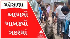 આખલો પટકાયો ગટરમાં, JCBથી કરાયું રેસ્ક્યું; જોઈ લો આ વીડિયો