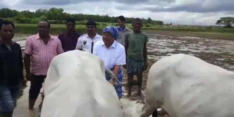 Paschim Burdwan : Pradip Majumdar ploughs with farmers on field at Kanksa Pradip Majumdar : গামছা পরে চাষের কাজে জমিতে নামলেন মন্ত্রী ! আপ্লুত চাষিরা