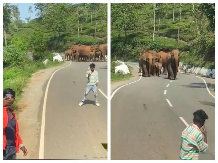 youngers taking selfie with a group wild Elephants IAS Officer share viral video on social media Watch: सेल्फी लेने के चक्कर में लड़के जा पहुंचे जंगली हाथियों को बेहद करीब, हाथियों ने ऐसे सिखाया सबक
