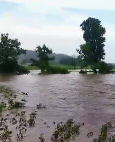 राज्याच्या विविध भागात पावसाची हजेरी