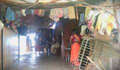 Nashik Leopard News : बिबट्याचा घरात घुसून तरुणावर हल्ला, लोखंडी फुंकणीच्या माराने बिबट्याने काढला पळ