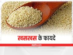 Health Tips: क्‍या होती है खसखस, कैसे बनती है, जानें इसके फायदे और नुकसान