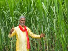 Sugarcane Farming: गन्ने की मिठास के साथ बढेगा किसानों की मुनाफा, अधिक उत्पादन के लिये अपनायें ये सुपहिट फॉर्मुला