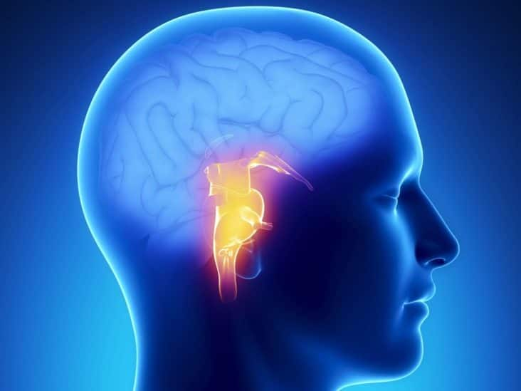 Health tips brain tumor symptoms and its types Brain Tumor Symptoms: શરીરમાં  દેખાઇ જો આ લક્ષણો તો ચેતી જજો, હોઇ શકે છે બ્રેઇન ટ્યુમર