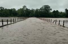 In Photos: लागातार बारिश से छत्तीसगढ़ के नदियों का विकराल रूप, अलर्ट जारी