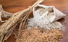 ਪੰਜਾਬ ਸਰਕਾਰ ਆਟੇ ਦੀ ਹੋਮ ਡਿਲੀਵਰੀ ਲਈ ਤਿਆਰ, ਜਲਦ ਘਰ-ਘਰ ਪਹੁੰਚੇਗਾ ਰਾਸ਼ਨ