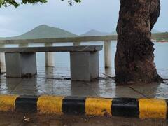 Udaipur News: उदयपुर झील संरक्षण समिति की याचिका पर NGT का बड़ा आदेश, पेड़ों के आसपास न हो पक्का निर्माण