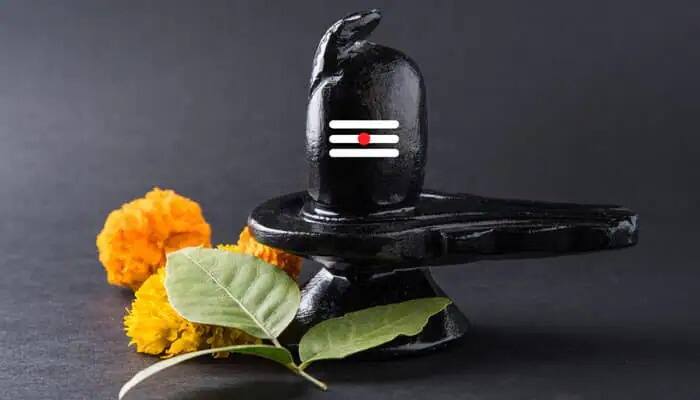 Budh Pujan 2022 know history significance and importance of the day marathi news Budh Pujan 2022 : श्रावणातील बुधवार म्हणजेच बुधपूजनाचा दिवस; जाणून घ्या आख्यायिका