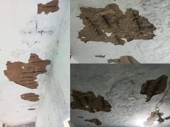 Surajpur News: सूरजपुर जिले में जान जोखिम में डालकर पढ़ती हैं छात्राएं, जर्जर हो चुका है स्कूल का छत