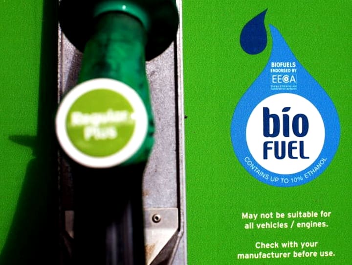 World Biofuel Day 2022 Date History Theme Significance of Focusing Alternate Fuel Sources in India World Biofuel Day: विश्व जैव ईंधन दिवस के मौके पर जानिए इसका इतिहास और उम्मीद