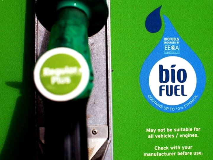 World Biofuel Day 2022 Date History Theme Significance of Focusing Alternate Fuel Sources World Biofuel Day 2022: Know Date, History, Significance Of Day Focusing On Alternate Fuel Sources