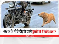 Bike Tricks: अपनी बाइक के पीछे दौड़ने वाले कुत्तों से हैं परेशान, तो इन ट्रिक्स से हो जाएगी आपकी मुश्किल आसान