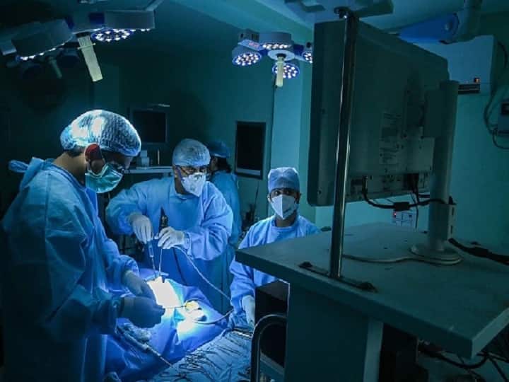 Doctors Remove 6 CM Large Fungal Ball From Heart Valve Of Patient बड़ी कामयाबी! डॉक्टरों ने ऑपरेशन के बाद बुजुर्ग के हार्ट के वाल्व से निकाला 6 सेमी लंबा फंगल बॉल