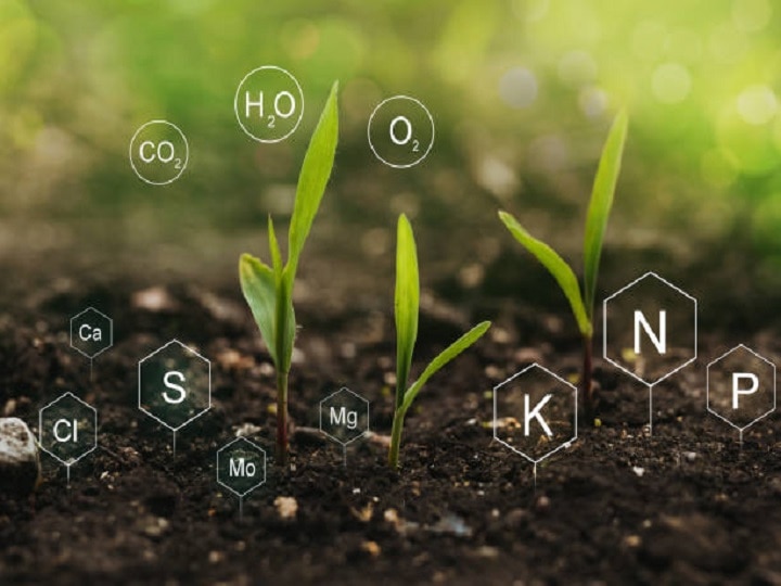 Bio Fertilizer: किसानों को मालामाल बना सकते हैं ये चुनिंदा बायो-फर्टिलाइजर, खेत-खलिहानों में बढायेंगे हरियाली