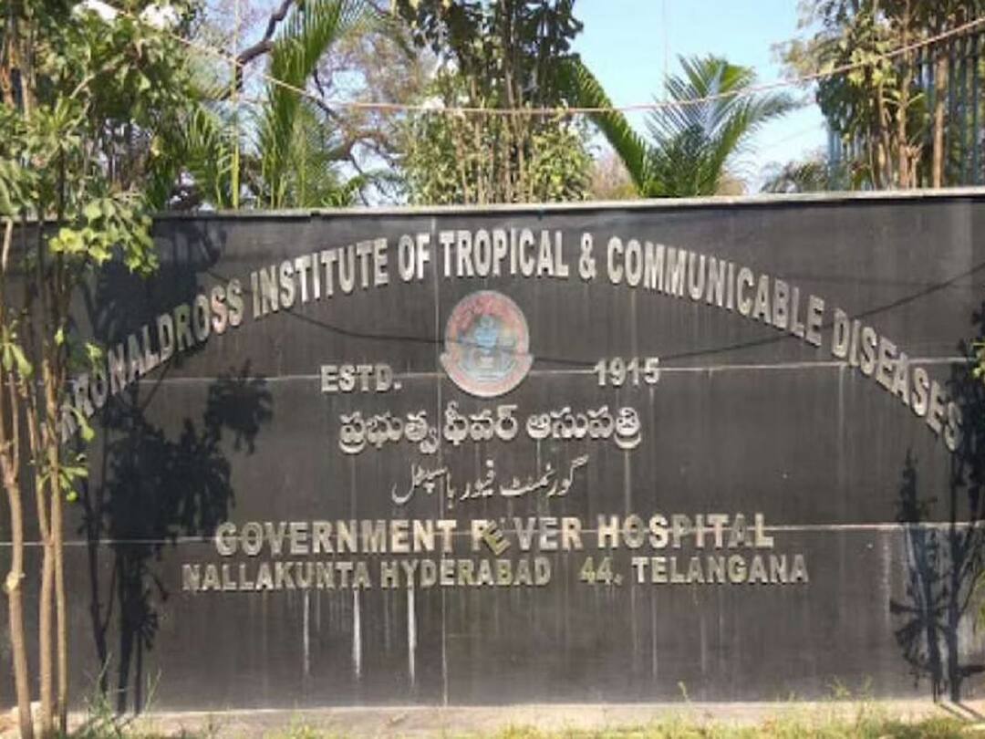 Hyderabad: హైదరాబాద్లో వైరల్ ఫీవర్స్ టెన్షన్! నిండుతున్న ఆస్పత్రులు - ఆ జ్వరాన్ని ఇలా గుర్తించండి Hyderabad hospitals OP filling up with viral fevers amid rainy season DNN Hyderabad: హైదరాబాద్లో వైరల్ ఫీవర్స్ టెన్షన్! నిండుతున్న ఆస్పత్రులు - ఆ జ్వరాన్ని ఇలా గుర్తించండి