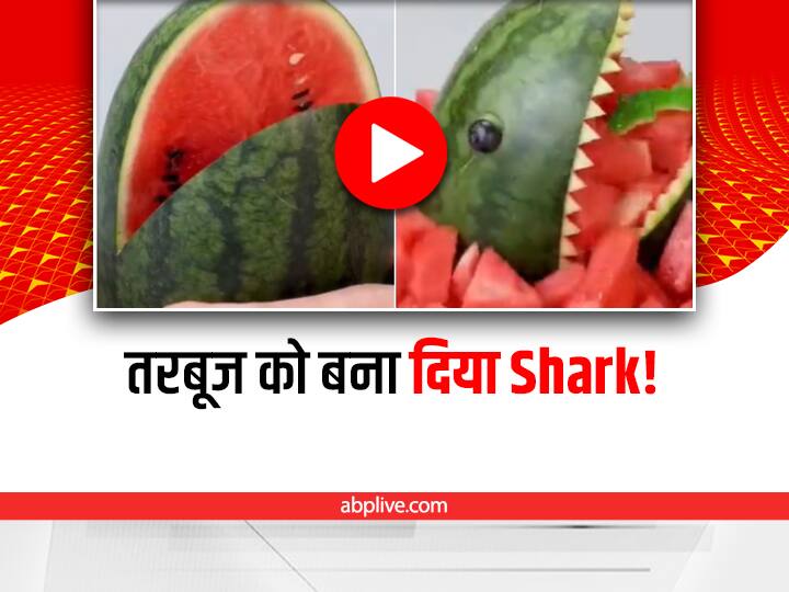 Watch: शख्स ने तरबूत पर नक्काशी कर बनाया शार्क मछली का डिजाइन, ऐसी क्रिएटिविटी पहले नहीं देखी होगी shark design on watermelon video viral on social media Watch: शख्स ने तरबूत पर नक्काशी कर बनाया शार्क मछली का डिजाइन, ऐसी क्रिएटिविटी पहले नहीं देखी होगी