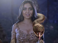 Naagin 6: तेजस्वी के फैंस के लिए खुशखबरी, अक्टूबर में खत्म नहीं होगा शो, देखने को मिलेंगे ये ट्विस्ट